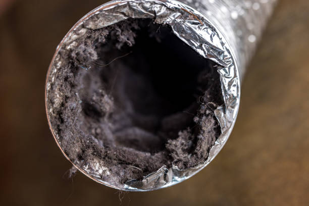 Best HVAC Air Duct Cleaning  in West Glendive, MT